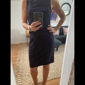 Ann Taylor Dress